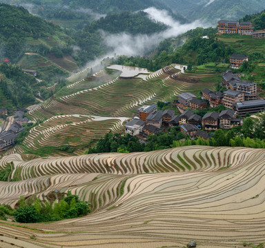 龙脊梯田