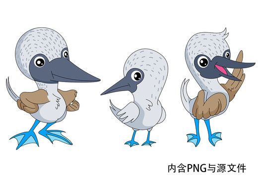 珍稀野生動物鰹鳥卡通形象