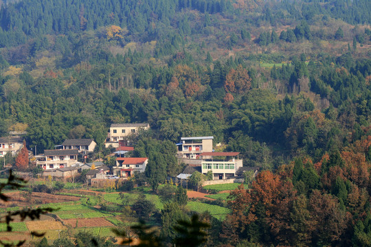 山村人家