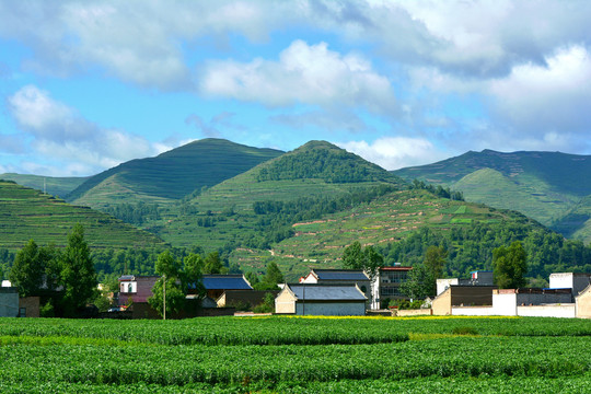 乡村风光