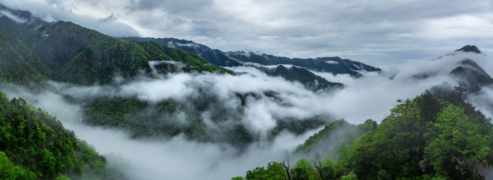 梵净山雨后云海全景