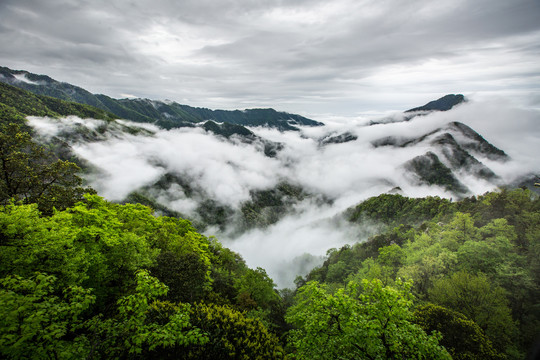 梵净山云海