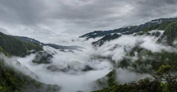 梵净山雨后云海