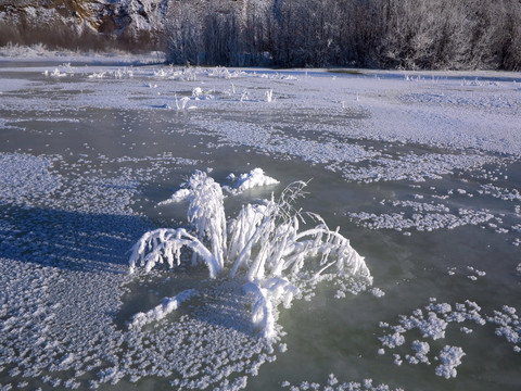 雪原草叶霜花