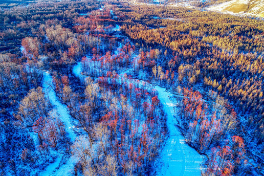 航拍林海雪原冰封河流红柳