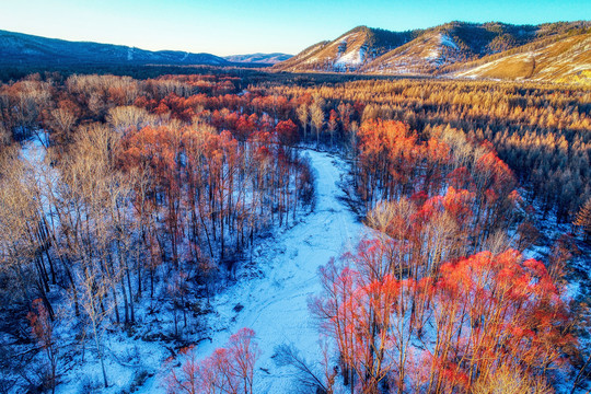 航拍雪原冰封河流红柳