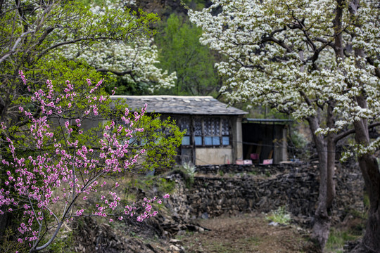 山村老屋