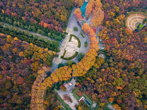 航拍中山陵风景区