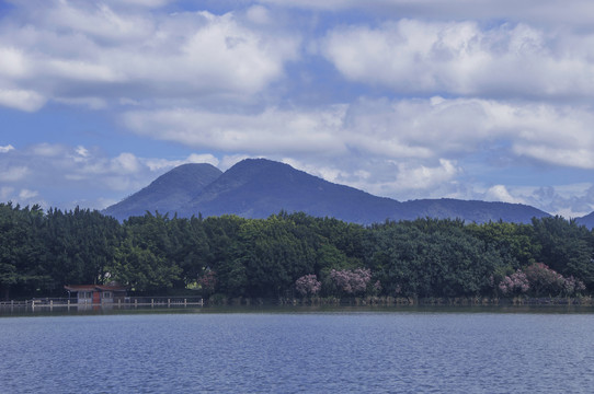 泉州西湖水岸绿林远山景色