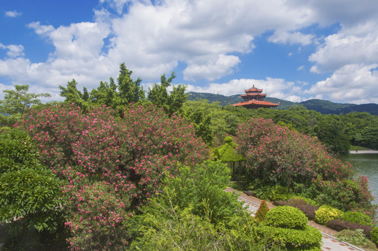 美丽园林景色