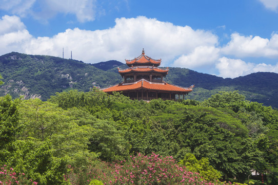 刺桐阁风景