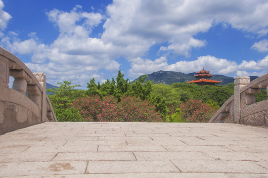 蓝天白云绿荫景