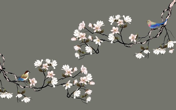 玉蘭花