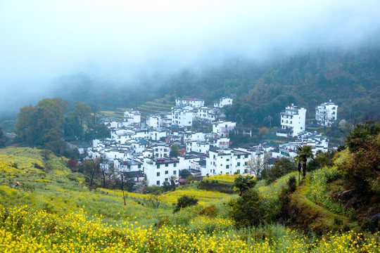 婺源江岭景色