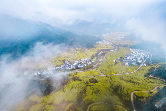 婺源烟雨