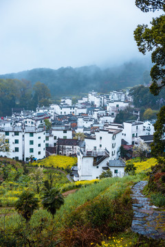 婺源徽派村庄