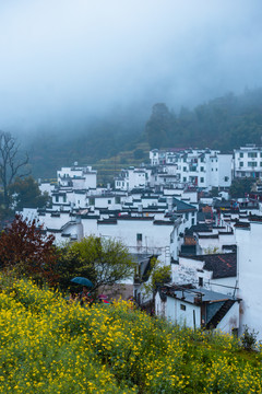 婺源徽派村庄