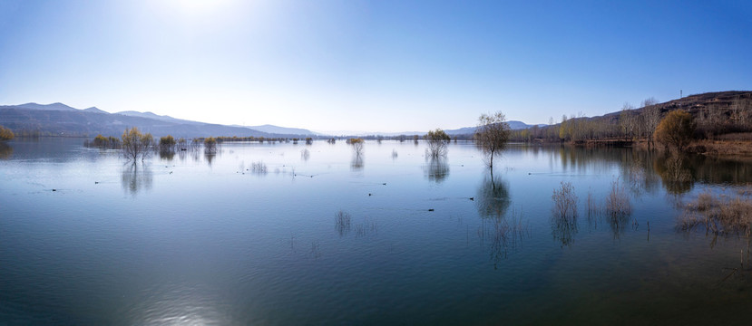 洛河湿地