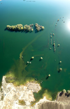 洛河湿地风景