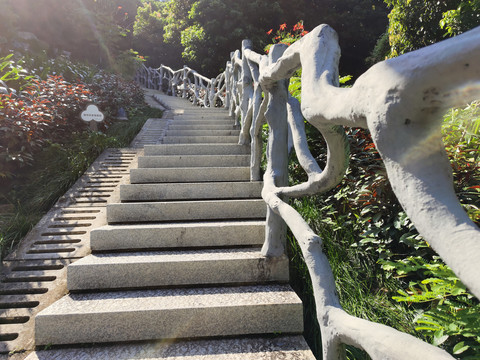 登山路