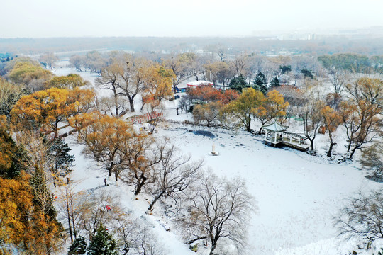 雪中沈阳北陵公园