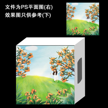 枇杷包裝盒