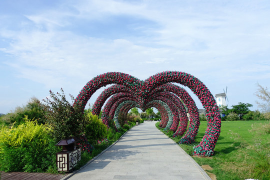 北戴河鸽子窝公园鲜花门廊