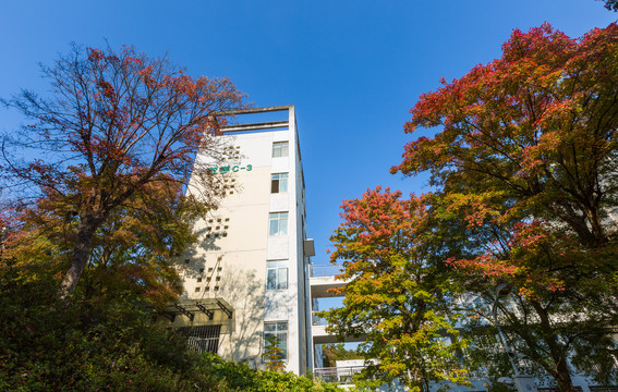 荆楚理工学院