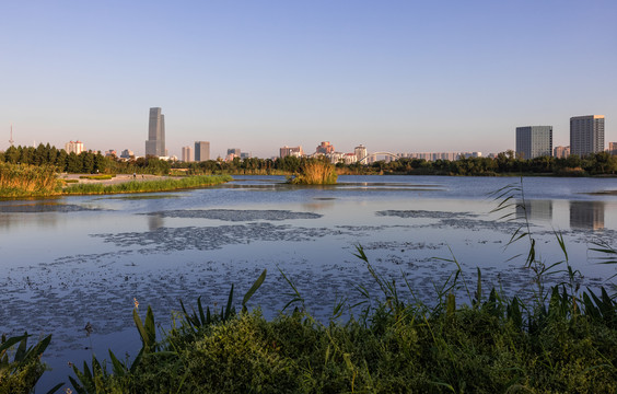 澹台湖风光