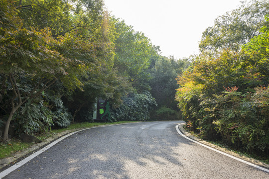 南京方山公园森林公路