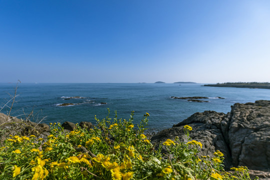 青岛海景