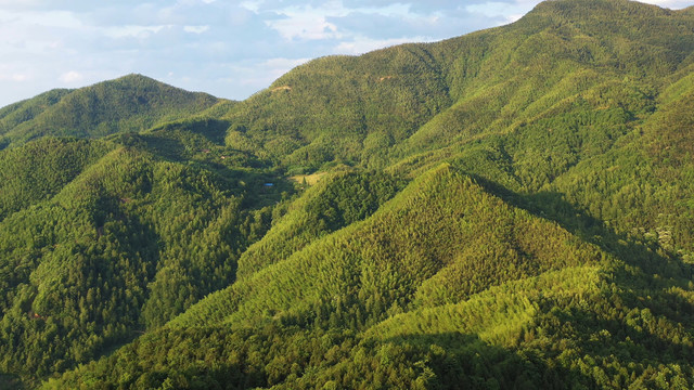 航拍江西明月山山林