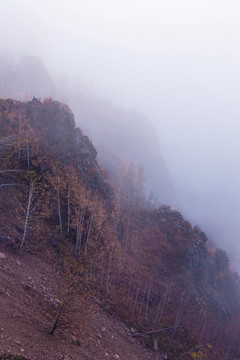 晨雾秋季山峦森林