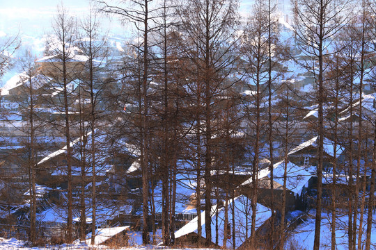 大兴安岭林区山里人家雪景