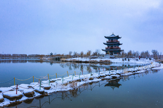 湿地公园大雪