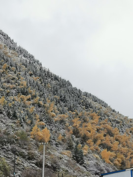 初冬雪景