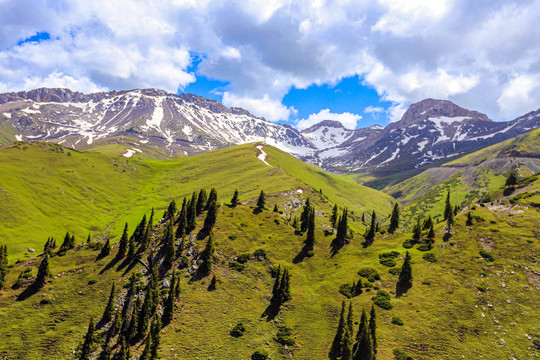 伊犁天山