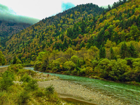 川西高原秋景风光