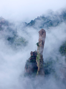 巨蟒出山