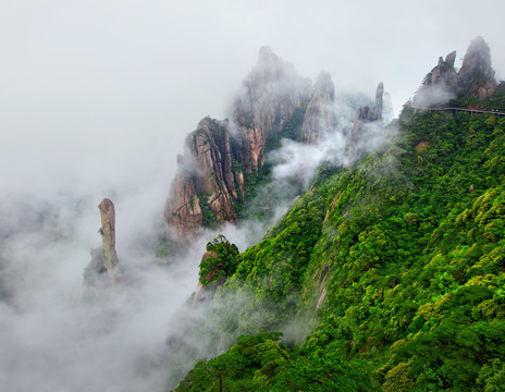 巨蟒探海