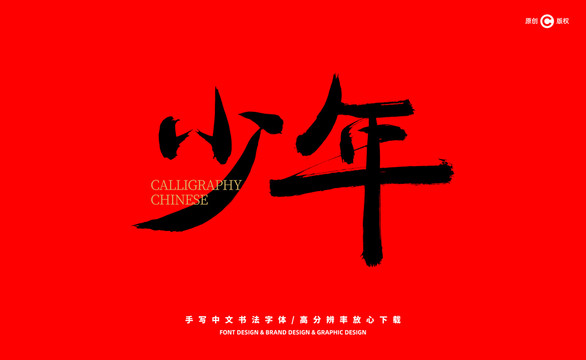 少年