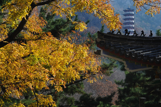 萊州大基山風光
