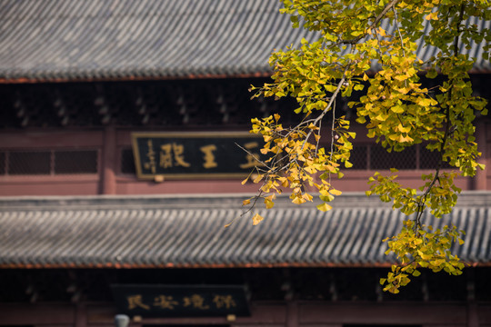 杭州钱王祠