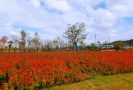 奉化湿地公园