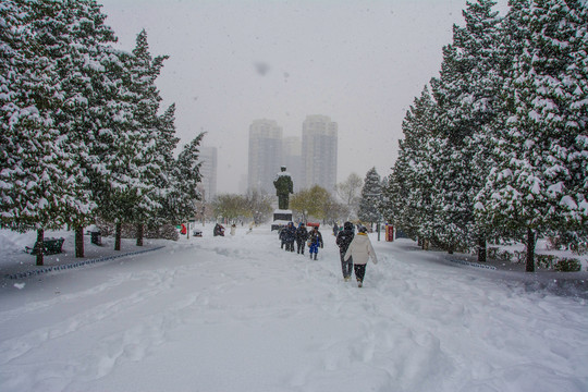 两排松树与雕像雪地雪景