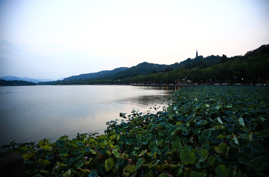 西湖夜景