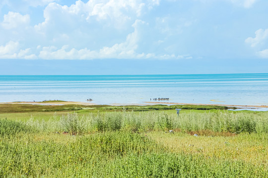 大美青海湖