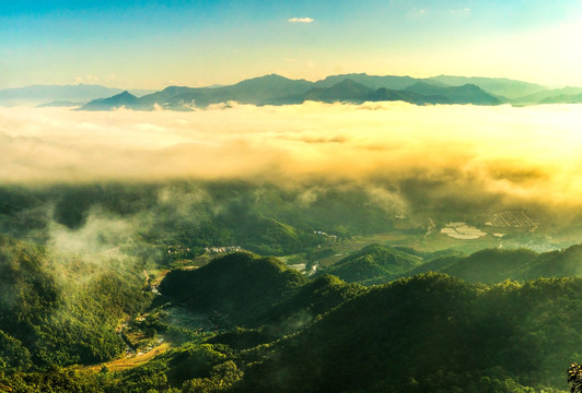 雲雾青山