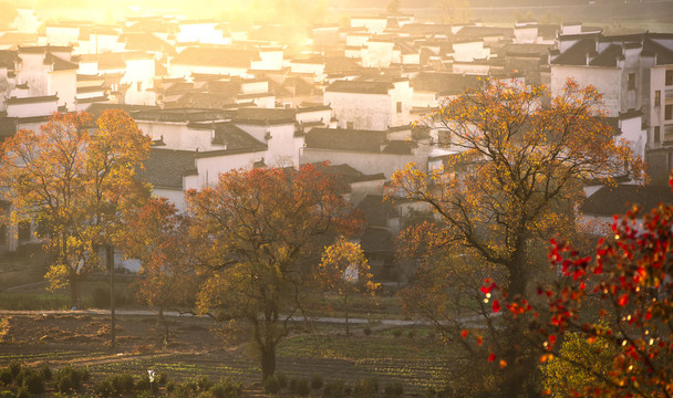 卢村风光