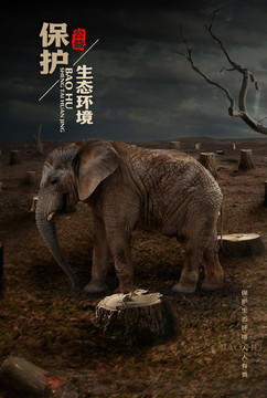 保護(hù)生態(tài)環(huán)境